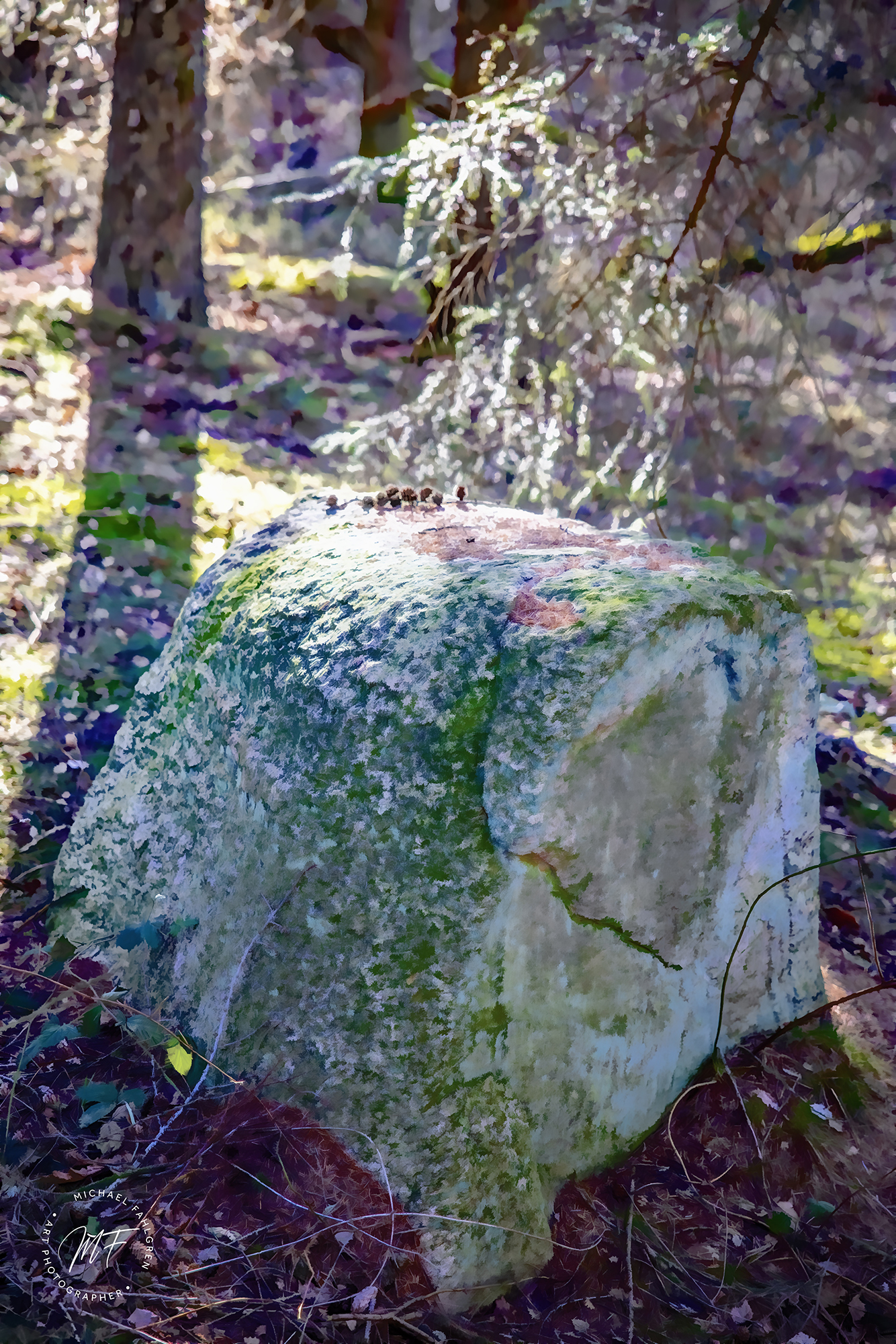 Rutsker Højlyng 1