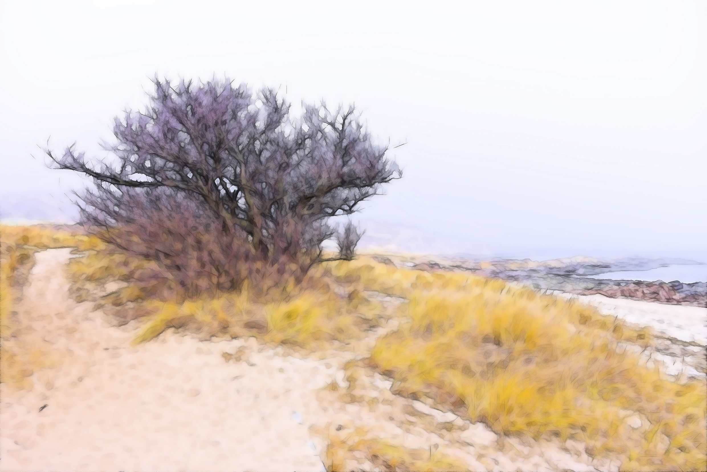 Art 21048 - Sandvig strand - forside