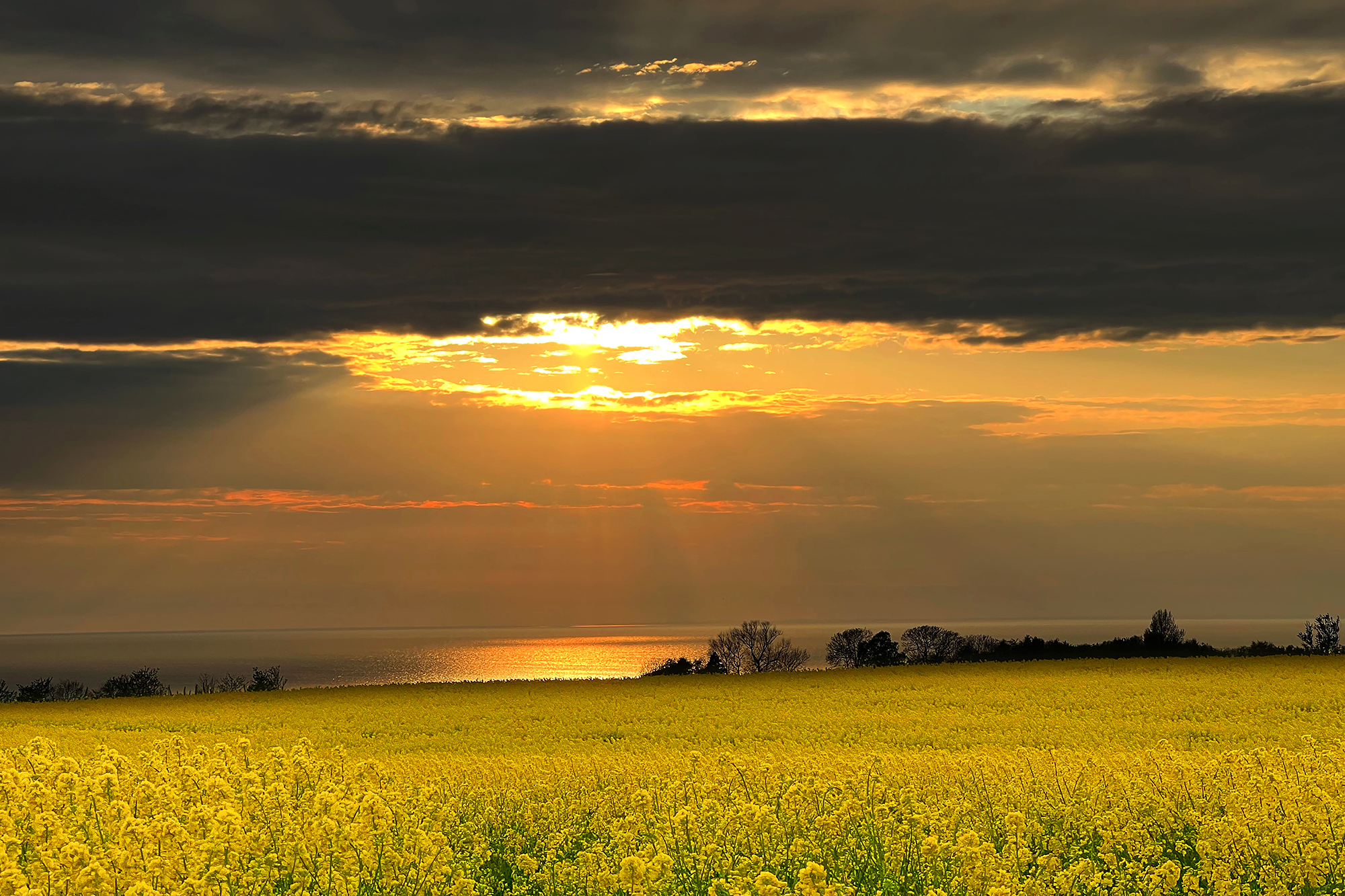 Art 21058 - Solnedgang ved Rutsker