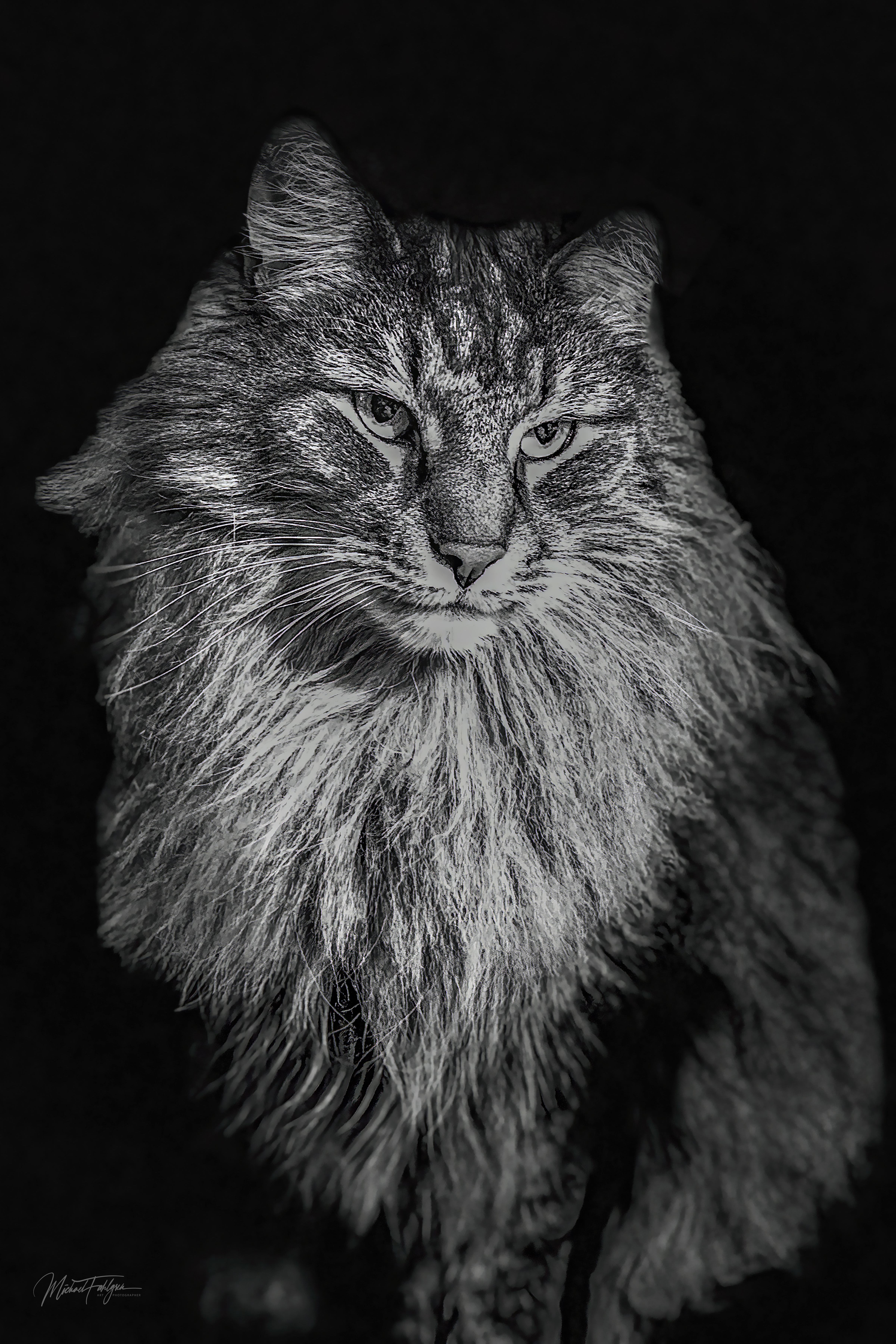 Felix