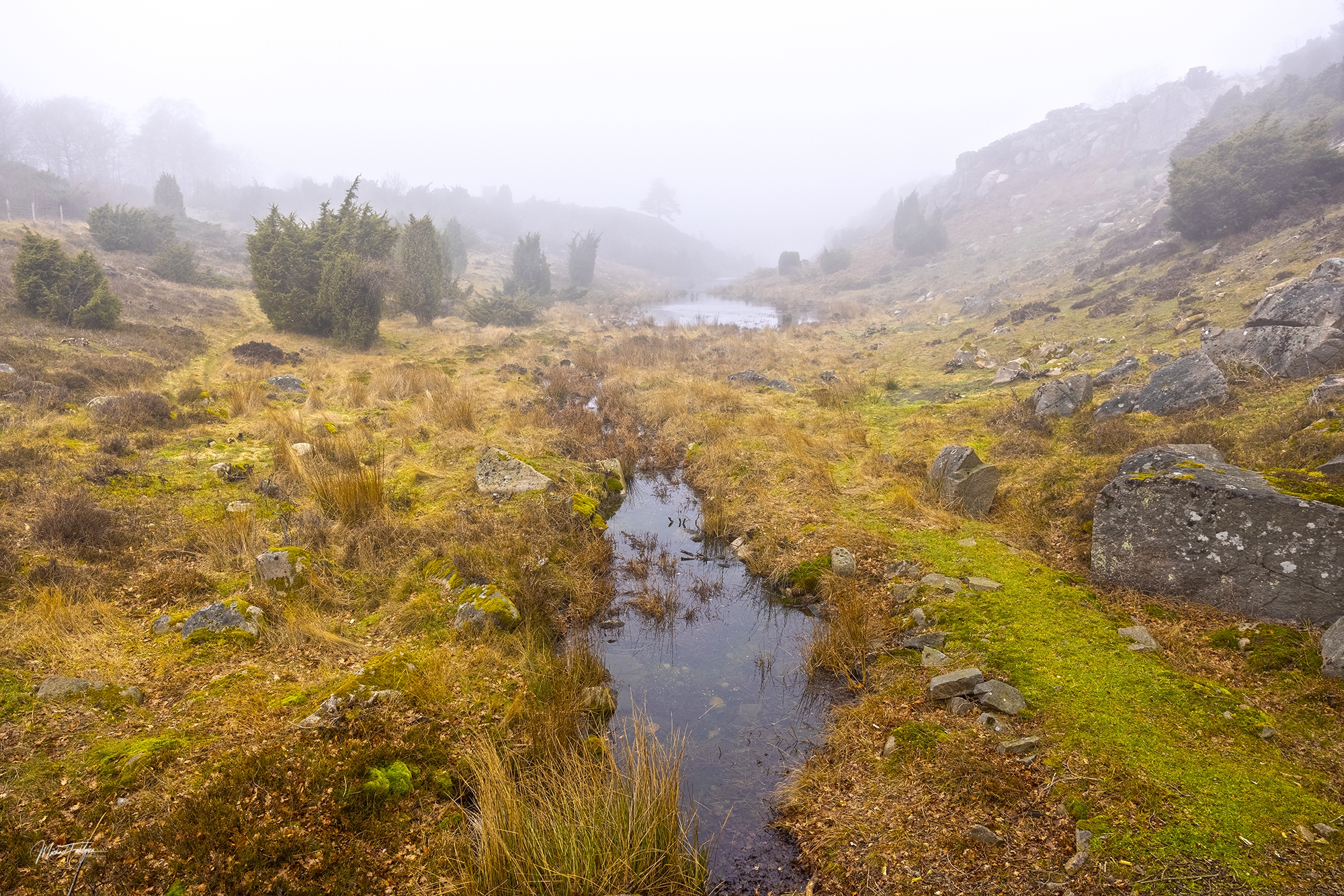 Ravnedalen i tåge 1