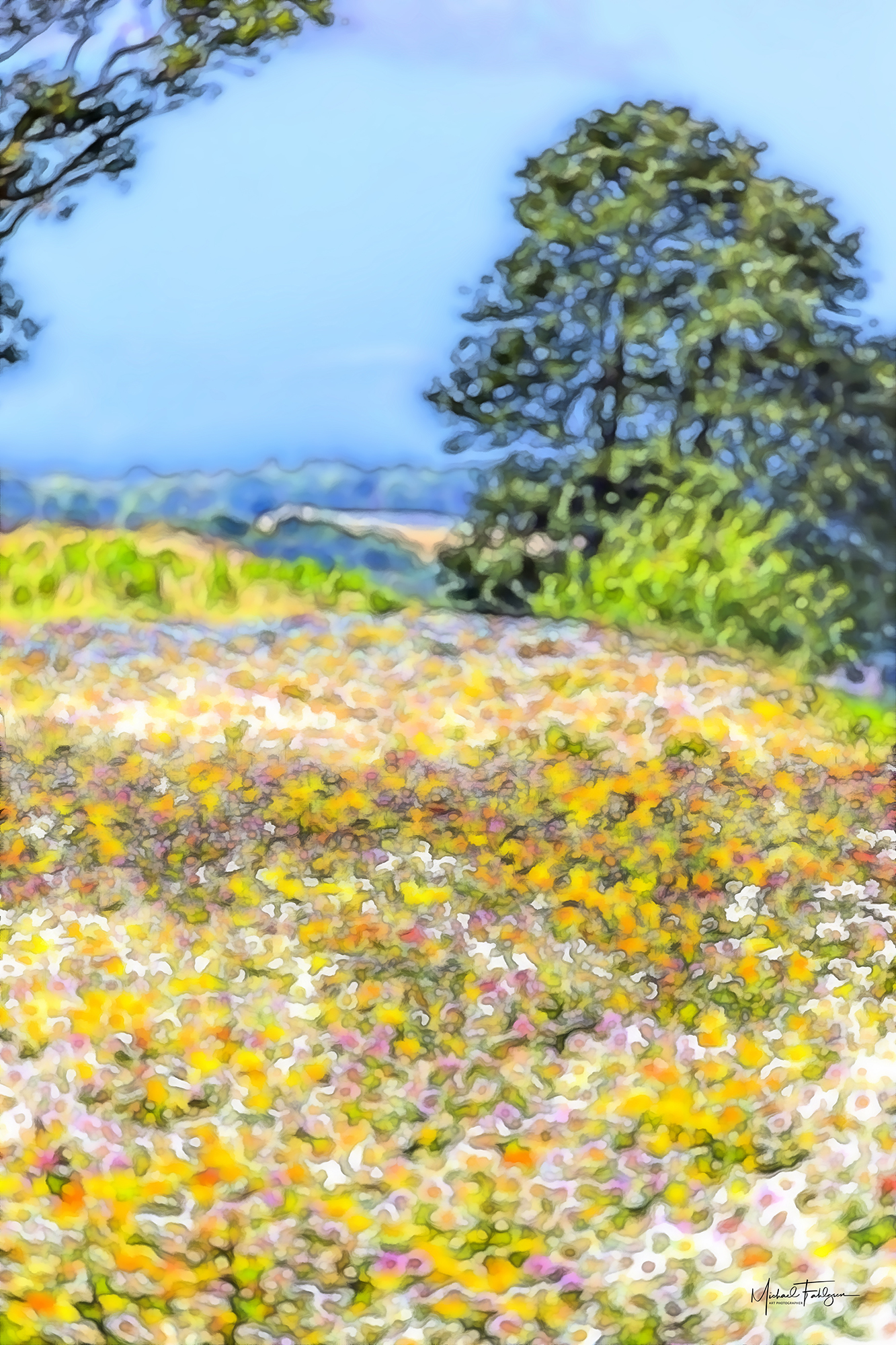 Bornholm Blomstrer